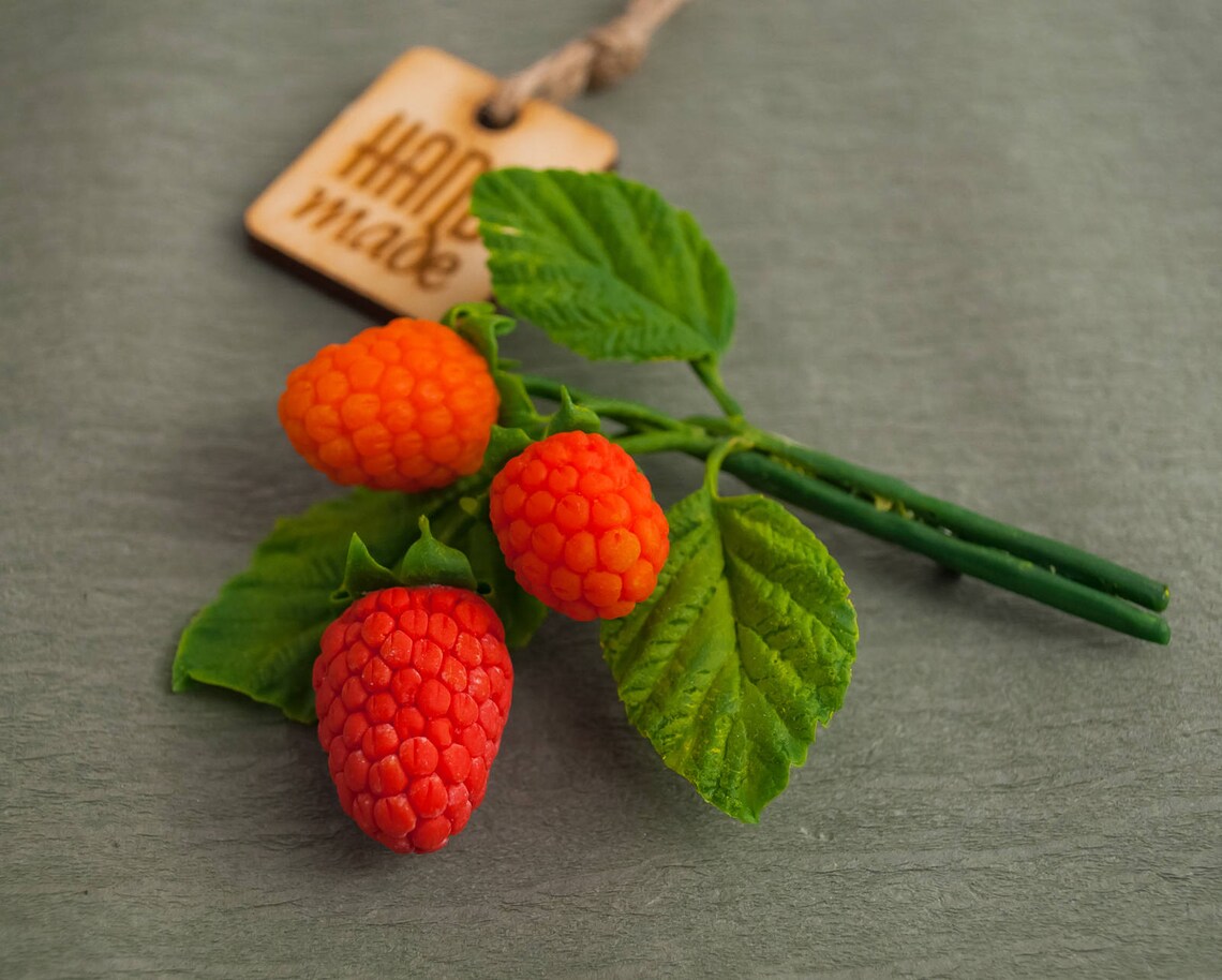 Raspberries Brooch Hair Clips Hair Twig Hair Pins Etsy