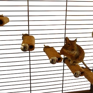May include: A brown gerbil is climbing on a set of brown rope toys in a metal cage. The toys are attached to the cage with metal hooks.