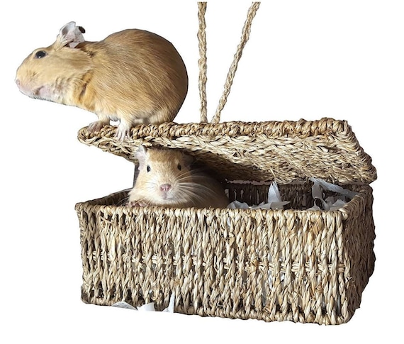 Hamster nesting box deals