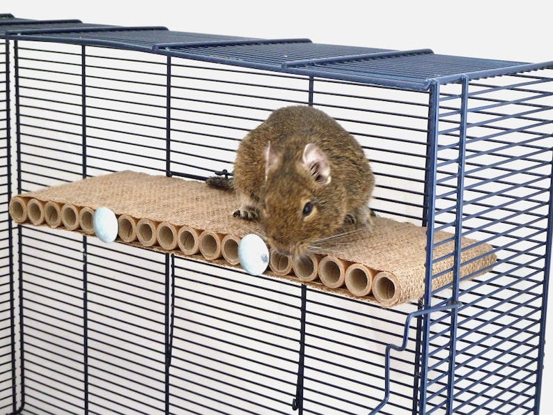 Long Degu Shelf Small Pet Toy Degu Rat Gerbil Hamster Etsy