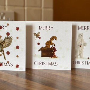Lots de cartes de Noël Robin 14 x 14 cm