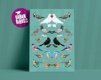 Urban Bird Multi Print: quirky bird wall art, british bird art, beautiful nature gift ideas