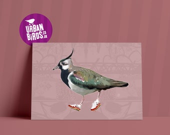 Blush Lapwing Urban Birds A3 Print - home decor, wall art, birds, ornithology, trainers, sneakers