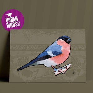 Impresión de camachuelo A3, pájaros británicos, impresión de aves, ilustración de aves, póster de aves, arte de aves, ornitología, zapatillas deportivas, regalos para él