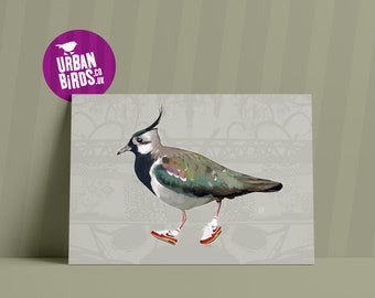 Stone grey Lapwing Urban Birds A3 Print - home decor, wall art, birds, ornithology, trainers, sneakers