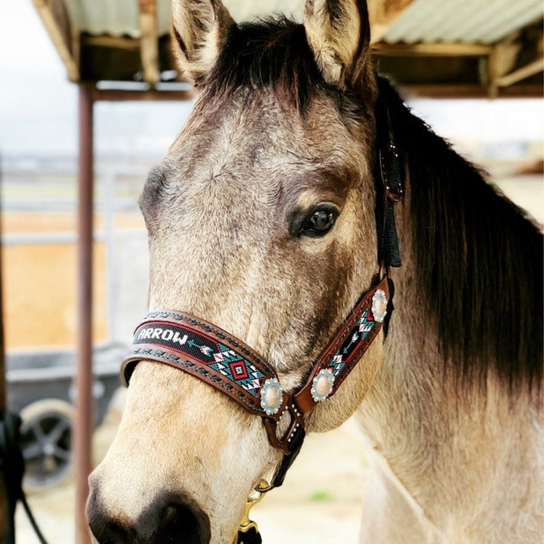 Custom/personalized Leather Beaded Horse Halter deluxe Etsy