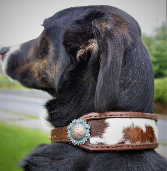 Custom Dog Collar Inlaid Hair On Cowhide Made To Order Etsy