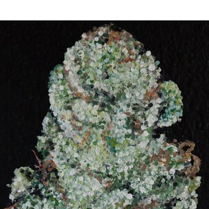 Burning Bush: Limited Print
