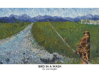 Bird in a Wash