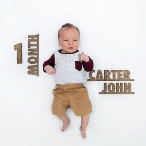 Wood Monthly Milestone Markers -  Baby Shower Gift -  Monthly Photo Prop -  Baby Milestone Marker - New Baby Gift -  Babys First Year