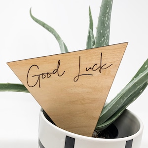May include: A wooden triangle plant marker with the text "Good Luck" engraved in a cursive font. The marker is placed in a pot with a green succulent plant.