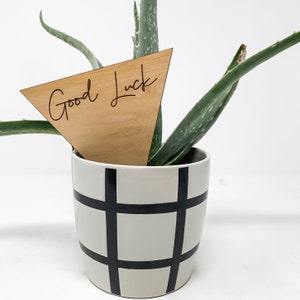 May include: A small potted aloe vera plant with a wooden triangular plant marker that says "Good Luck" in cursive script. The pot is white with black grid pattern.