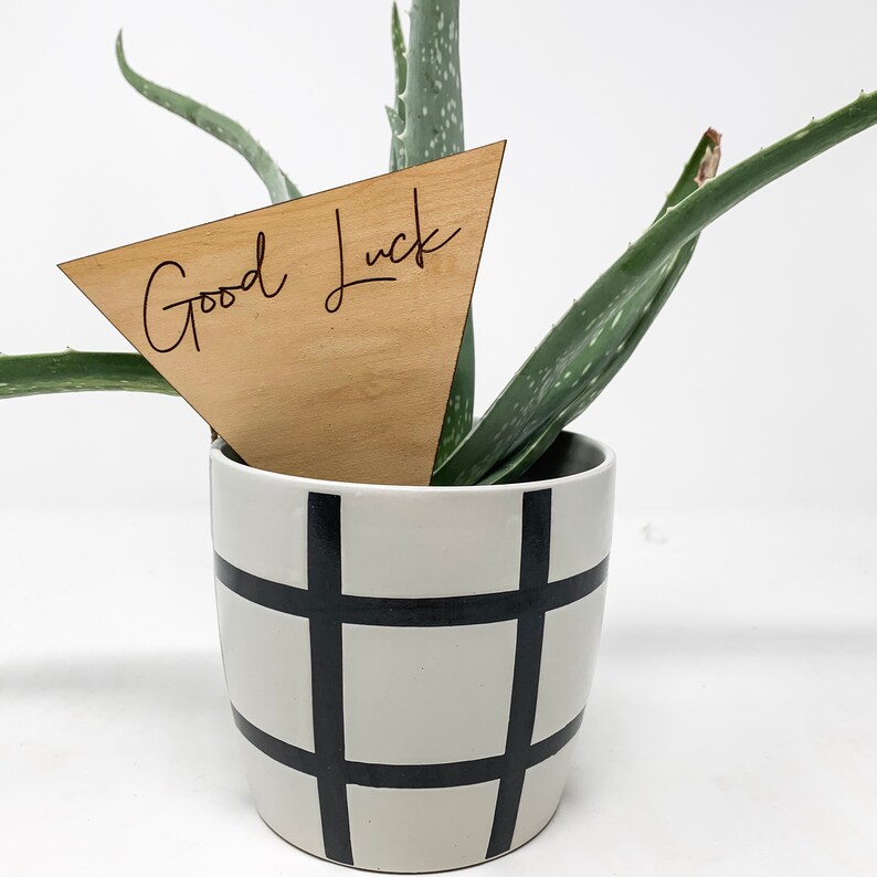 May include: A small potted aloe vera plant with a wooden triangular plant marker that says "Good Luck" in cursive script. The pot is white with black grid pattern.