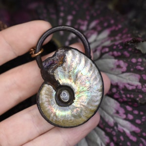 Puede incluir: Un colgante de f&oacute;sil de amonita iridiscente con un marco de metal marr&oacute;n. El colgante cuelga de un cord&oacute;n marr&oacute;n.