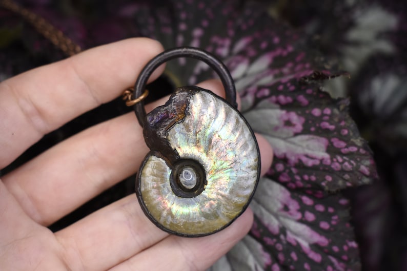 Puede incluir: Un colgante de f&oacute;sil de amonita iridiscente con un marco de metal marr&oacute;n. El colgante cuelga de un cord&oacute;n marr&oacute;n.