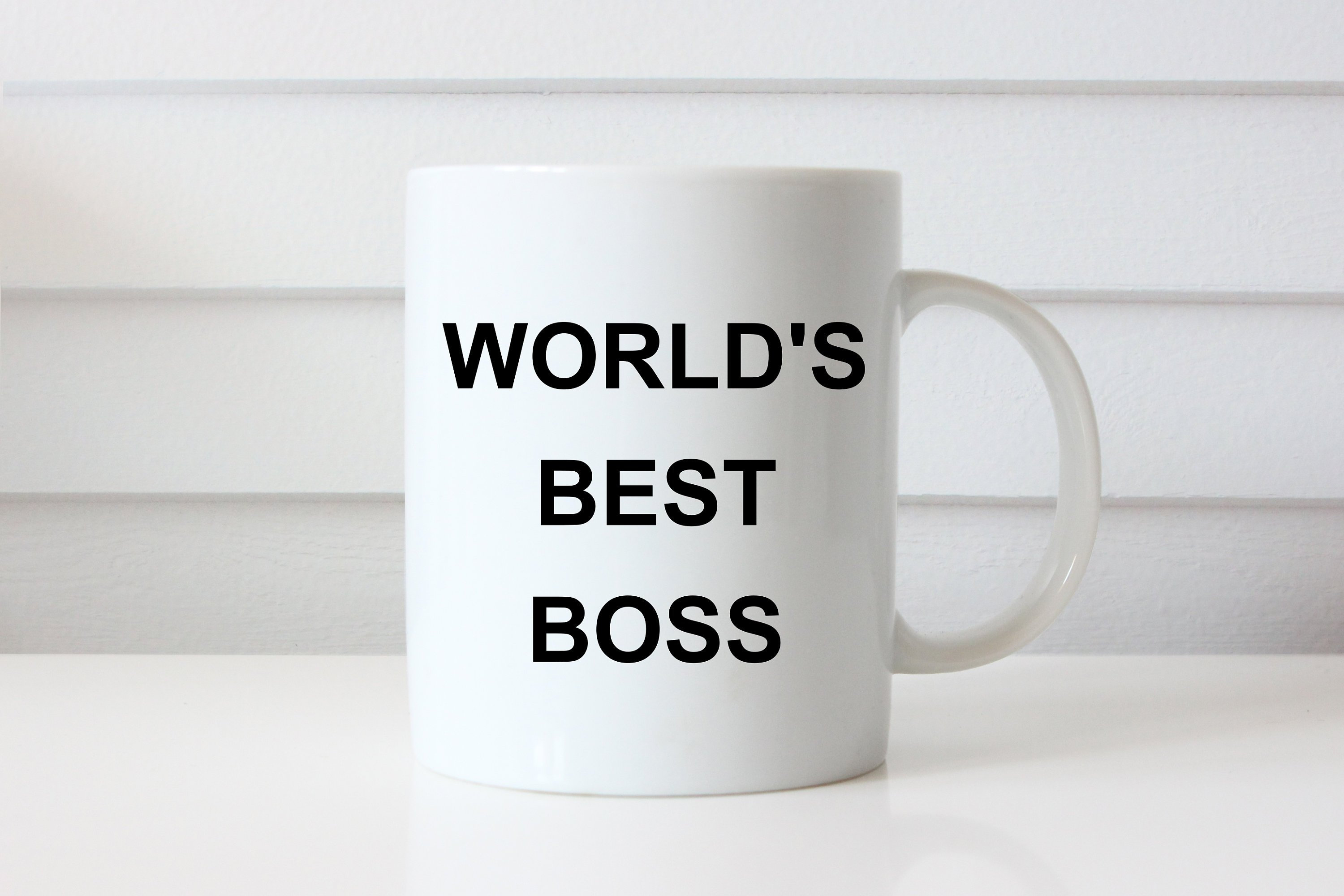 World's Best Boss Mug Michael Scott Mug The Office Mug Etsy