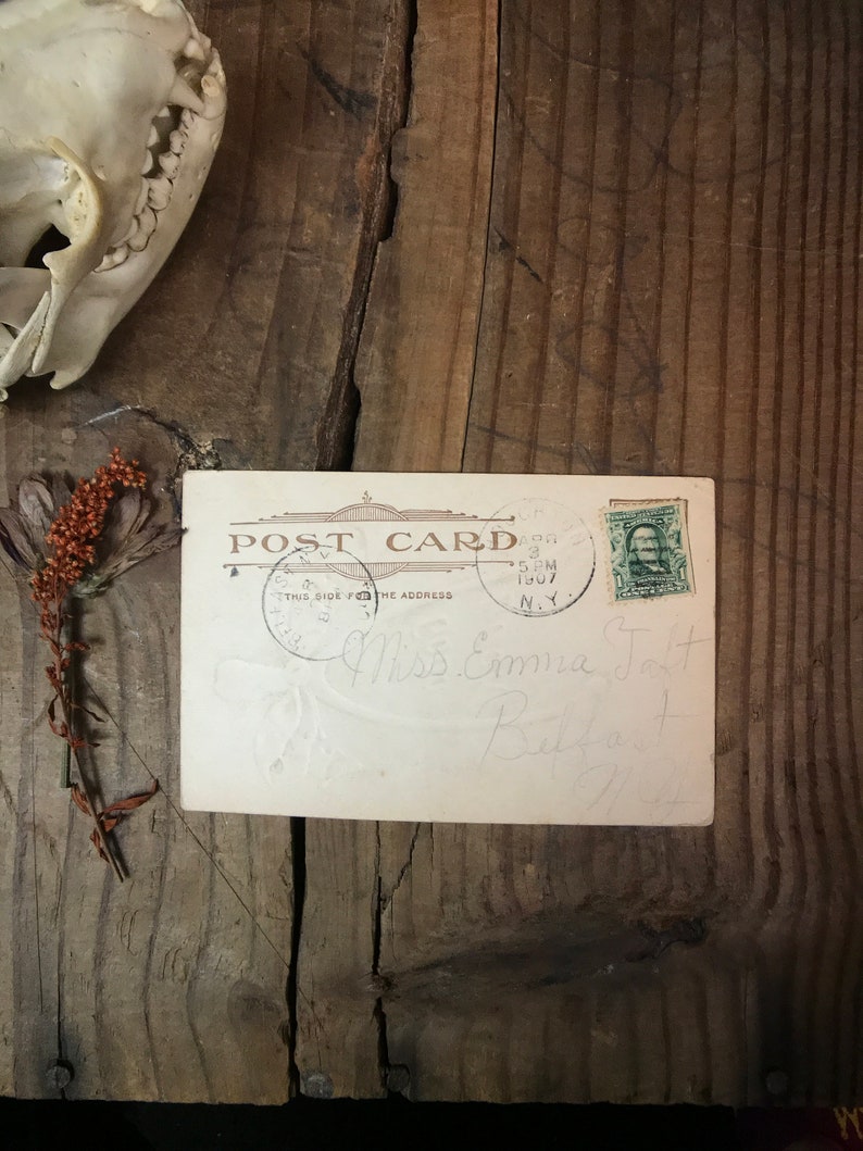 1907 Good Luck and Wish Bone Postcard Antique Postcards Used