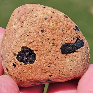 Vintage Lake Brick, Chicago Common Brick, bevat glaciaal tot sediment, historisch 20e-eeuws relikwie, begin jaren 1900, 42 g, Lake Michigan Rock