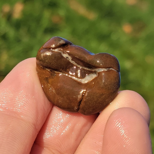 Small Septarian Nodule Devonian Rock, Lightning Stone, Mudstone w Calcite ~ Paleozoic Great Lake Michigan 9g Raw Natural Unpolished