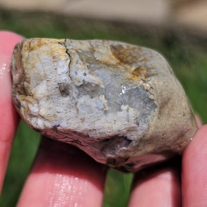 Silicified Charlevoix Stone, Favosites Coral, Geodized Quartz Coral, Ordovician Fossil, Great Lake Michigan, 37g, Raw Natural Unpolished