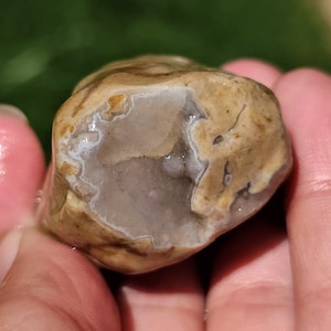 May include: A close-up of a polished, tan-colored rock with a geode cavity. The cavity is lined with a light gray crystal formation. The rock has a smooth, rounded shape and is held in a hand.