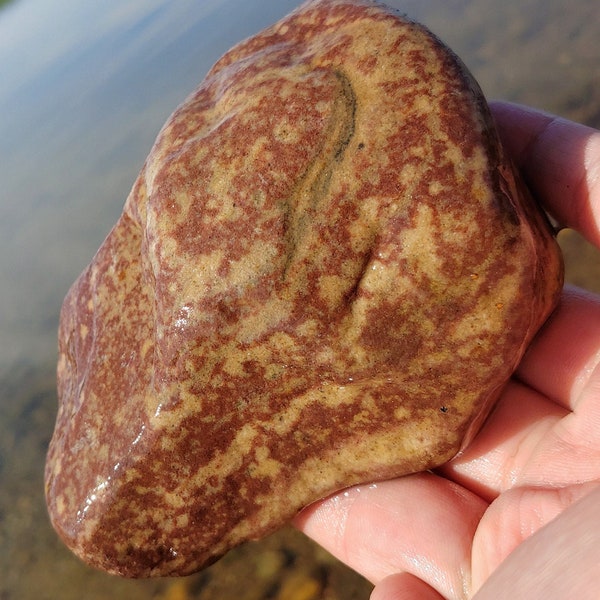 Large Speckled Jacobsville Sandstone Precambrian Rock w Green Epidote ~ Redstone ~ Great Lake Superior Michigan 17oz Raw Natural Unpolished