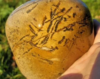 Dendritic Limestone Rock, Manganese Oxide Dendrites Crystals, Pseudofossil, Great Lake Michigan Rock, XL 3lbs, Raw Natural Unpolished