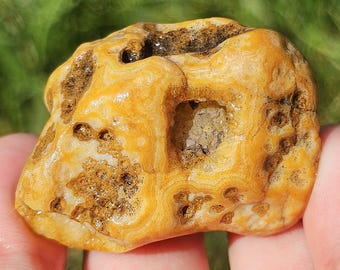 オレンジクオーツ　ガルフポート　港　カレッジ　イエローゴールド　リング　10k Druzy Arkansas Crowley Ridge Agate, Stromatolite Fossil
