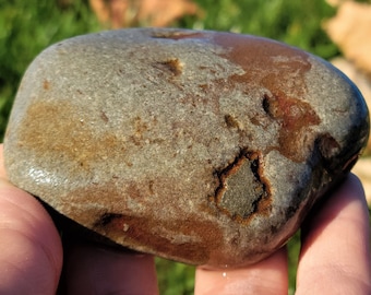 Pyritized Crinoidal Limestone, Devonian Rock Fossil, Fools Gold, Great Lake Michigan Rock, 5oz, Raw Natural Unpolished
