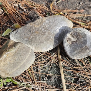 以下が含まれることがあります： さまざまなサイズの4つの滑らかな灰色の石が、茶色の松葉と緑の草のベッドの上に置かれています。 石は自然で風化した外観で、微妙な色の変化と丸みを帯びたエッジがあります。 シーンは自然光で照らされています。