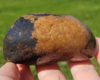 Large Dendritic Limestone Rock, Heavy Manganese Oxide Coating, Pseudofossil, Great Lake Michigan Rock, 7oz, Raw Natural Unpolished