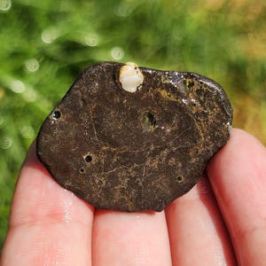 Basalto amigdaloidal, epidoto, clorita, esfera amigdaliana de calcedônia, rocha pré-cambriana, rocha do Grande Lago de Michigan, 17 g, bruto natural sem polimento