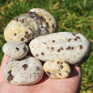 Peut inclure: Plusieurs pierres lisses et arrondies de différentes tailles. Les pierres sont principalement blanc cassé avec des taches et des taches marron et beige. Les pierres sont tenues dans une main sur fond d'herbe verte.