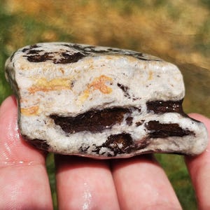 Serpentinized Peridotite Basalt, Chlorite, Chalcedony, Rare Michigan Rock, Precambrian Rock, Lake Superior Rock, 86g, Raw Natural Unpolished
