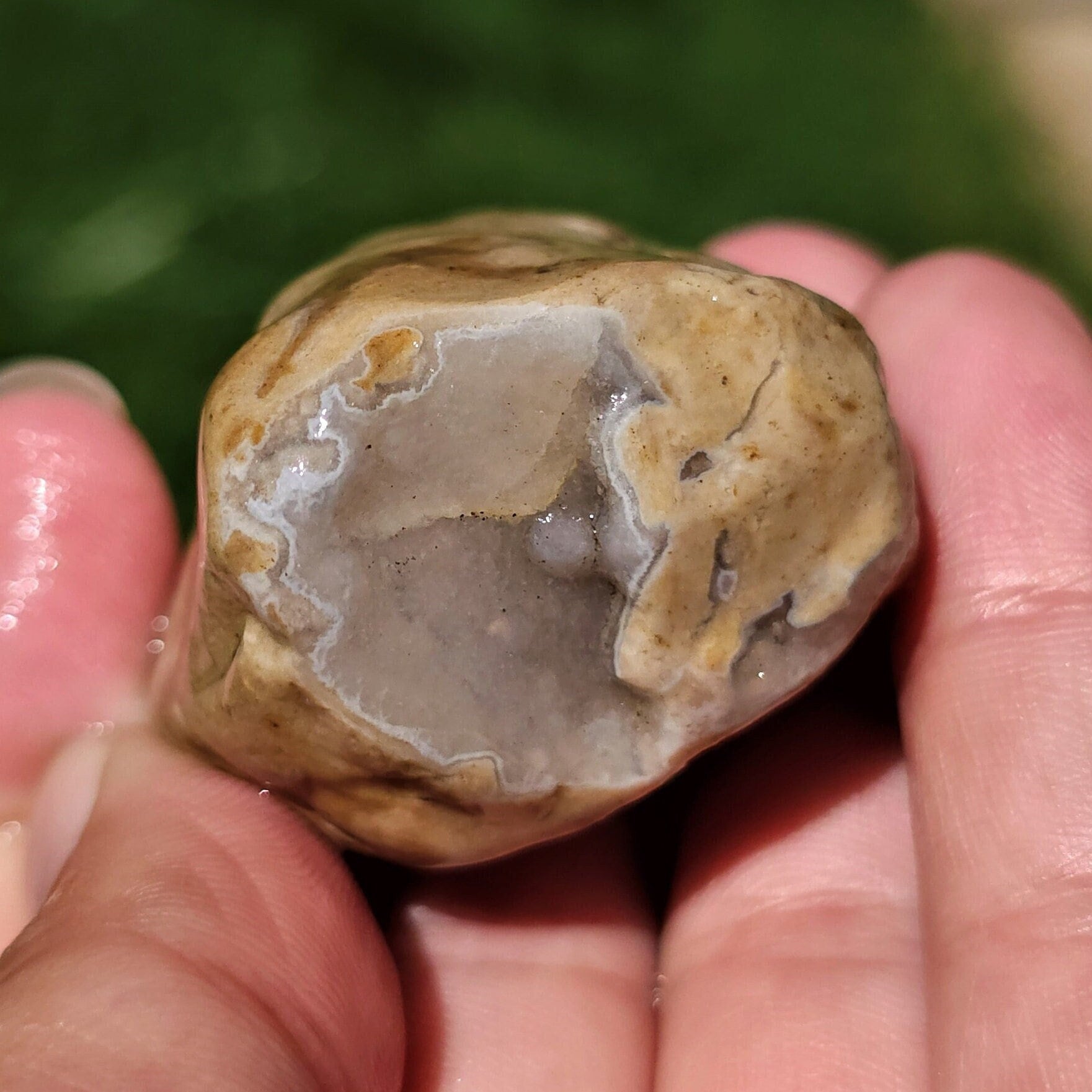 Stromatopora Sponge Fossil Chert, Cloud Agate, Chalcedony Quartz