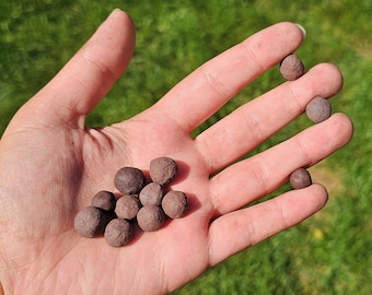 Taconite Iron Ore Pellets, 30+ Grams | 12-14 Per Set, Upper Peninsula Michigan, Historic Mining Material, Smelted Precambrian Iron Ore