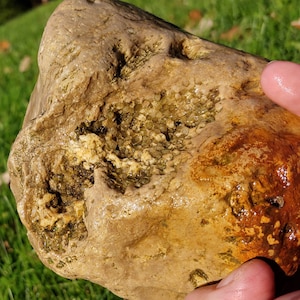 Charlevoix Stone, Favosites Coral Fossil, Ordovician Fossil, Quartz Corallites, Limestone, Great Lake Michigan, 4lbs, Raw Natural Unpolished