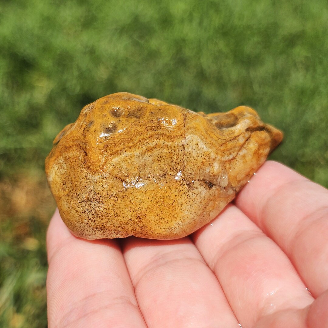 Ágata Crowley Ridge de Arkansas, cuarzo gema, fósil de estromatolito, roca  del río Misisipi, ágata de encaje de agua fría, 65 g, natural en bruto sin  pulir - Etsy México, image size:1080x1080