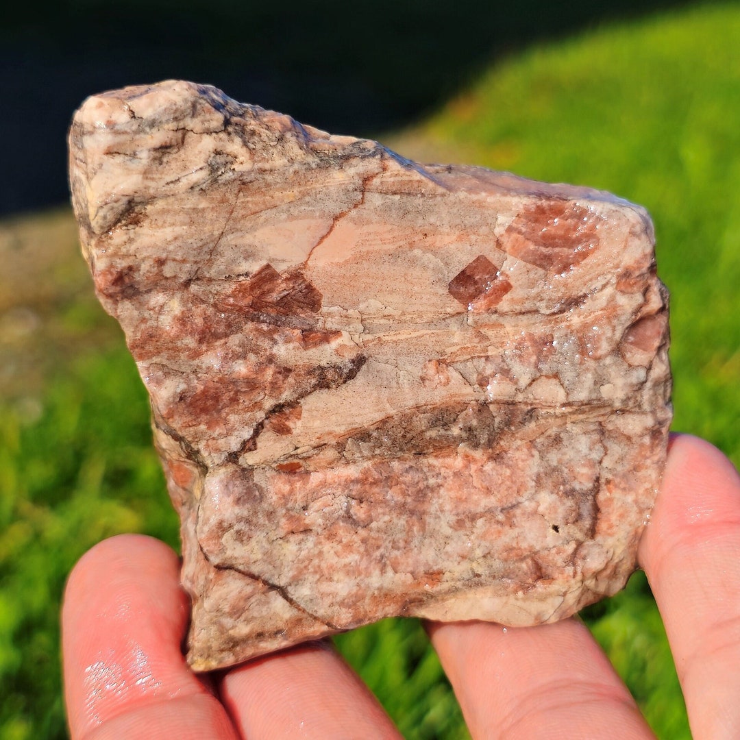Kona Dolomite Stromatolite Fossil Rock W Dark Pink Dolomite Crystals