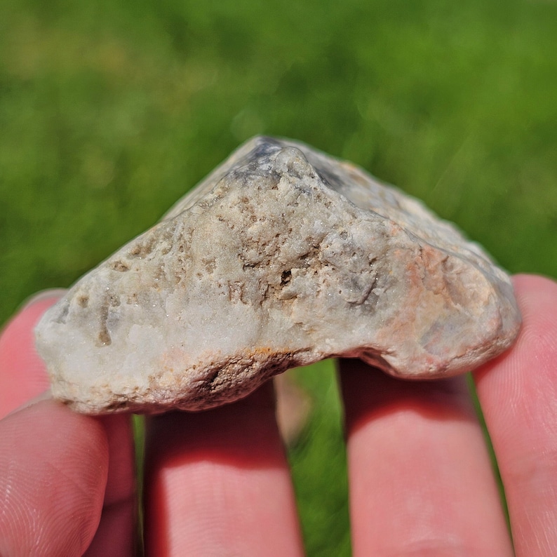 Cilisified Rocks Agatized Fossil Pseudomorph, Silicified Coral or Sponge Fossil ...