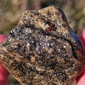 Almandine Garnet in Banded Gneiss, Schist Rock, Metamorphic Granite, Biotite Mica, Lake Superior Michigan Rock, 36g, Raw Natural Unpolished