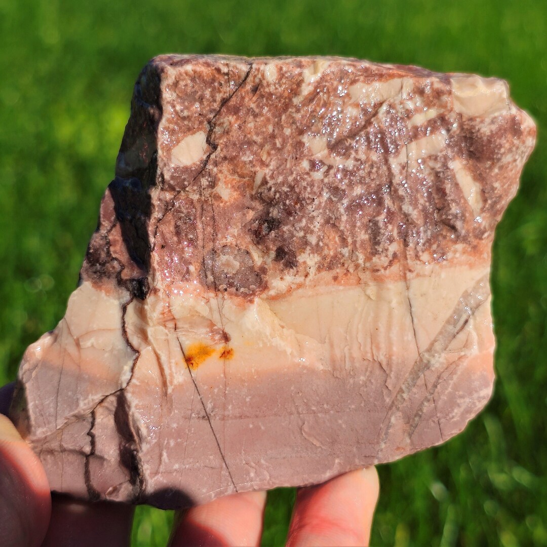 Brecciated Cherty Kona Dolomite Stromatolite Fossil Rock Rare