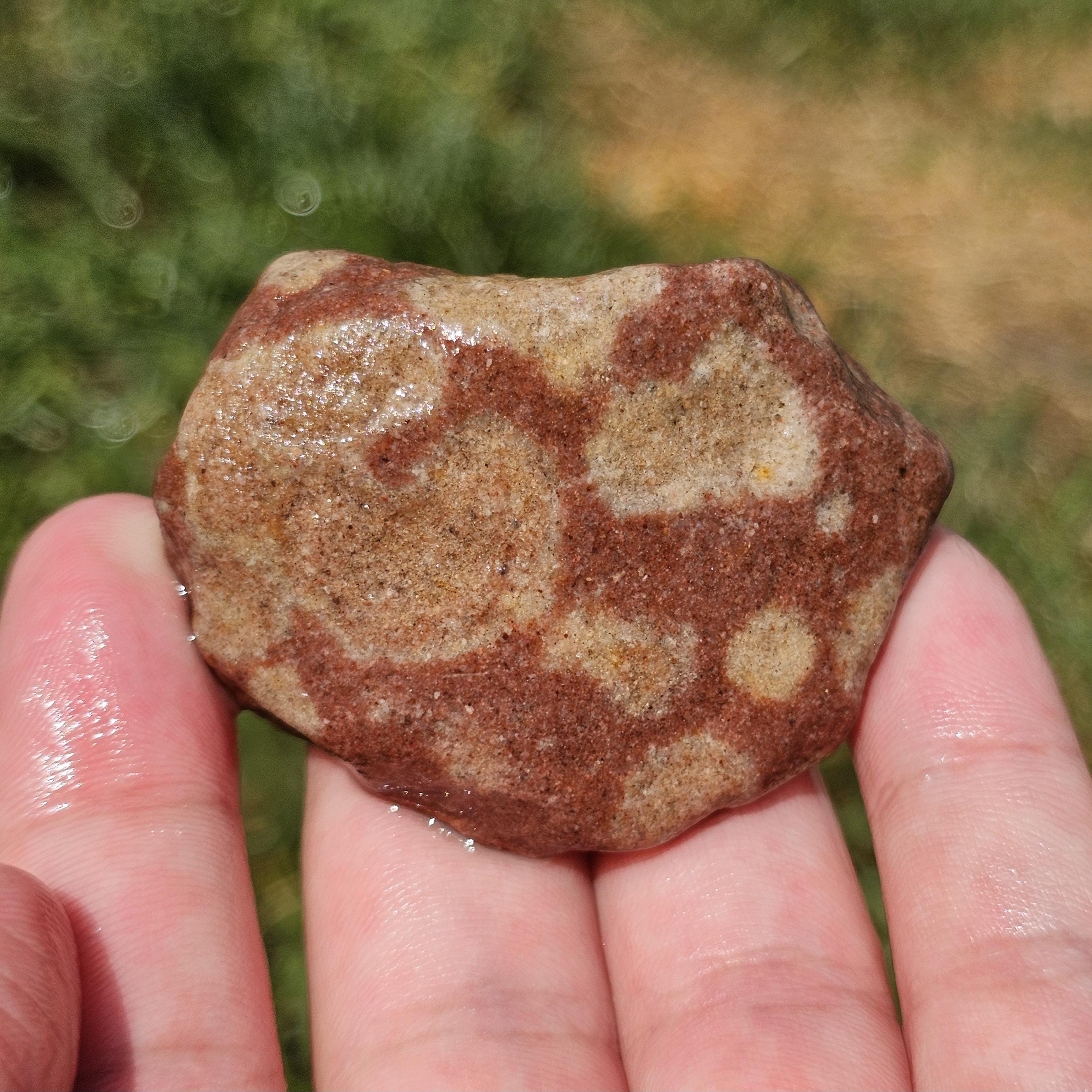 Cratered Jacobsville Sandstone, Red Sandstone, Redstone
