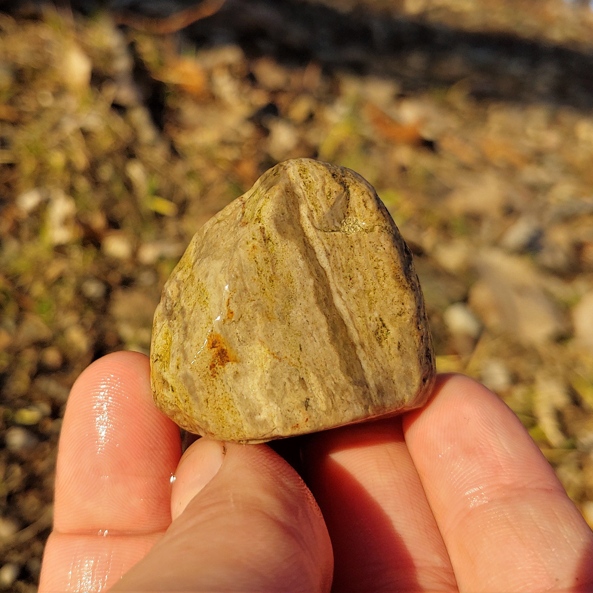 Banded Fossiliferous Flint Chert Rock Chalcedony Hematite