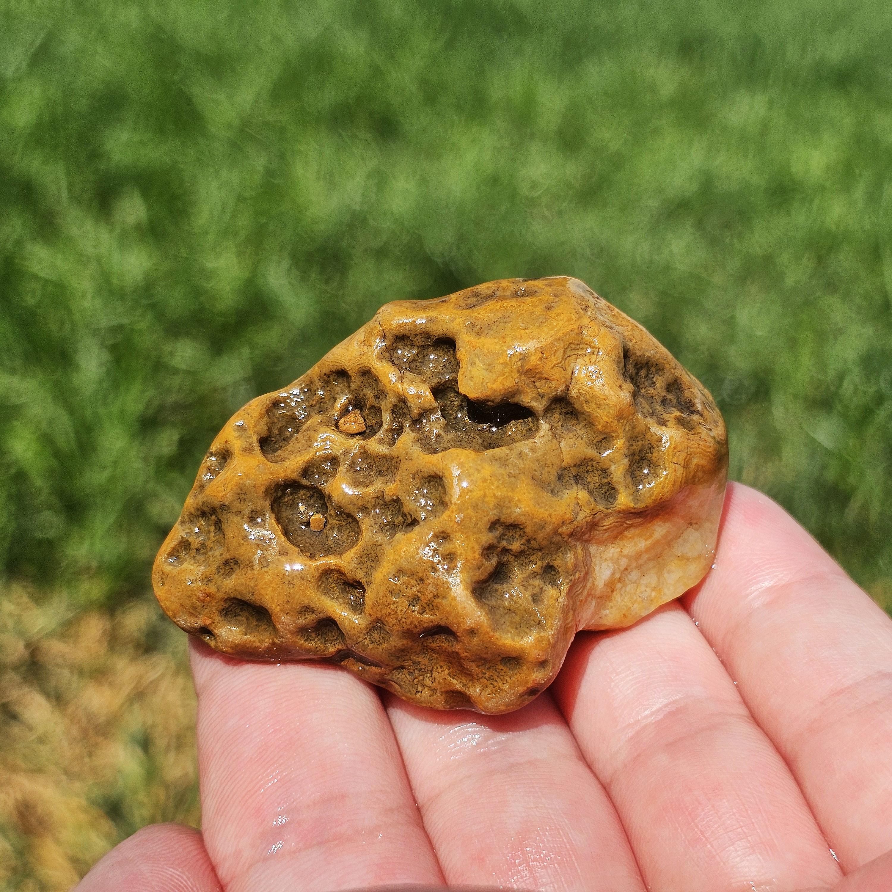 Ágata Crowley Ridge de Arkansas, cuarzo gema, fósil de estromatolito, roca  del río Misisipi, ágata de encaje de agua fría, 65 g, natural en bruto sin  pulir - Etsy México, image size:3000x3000