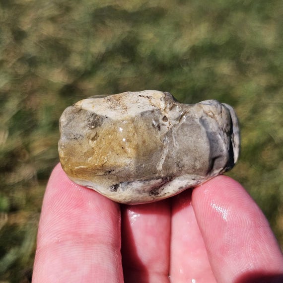 Banded Chert, Banded Flint, Dendritic Limestone, Pennsylvanian