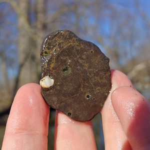 Red Amygdaloidal Basalt, Epidote, Chlorite, Quartz-Agate Amygdules, Precambrian Rock, Michigan Great Lake Rock, 17g, Raw Natural Unpolished