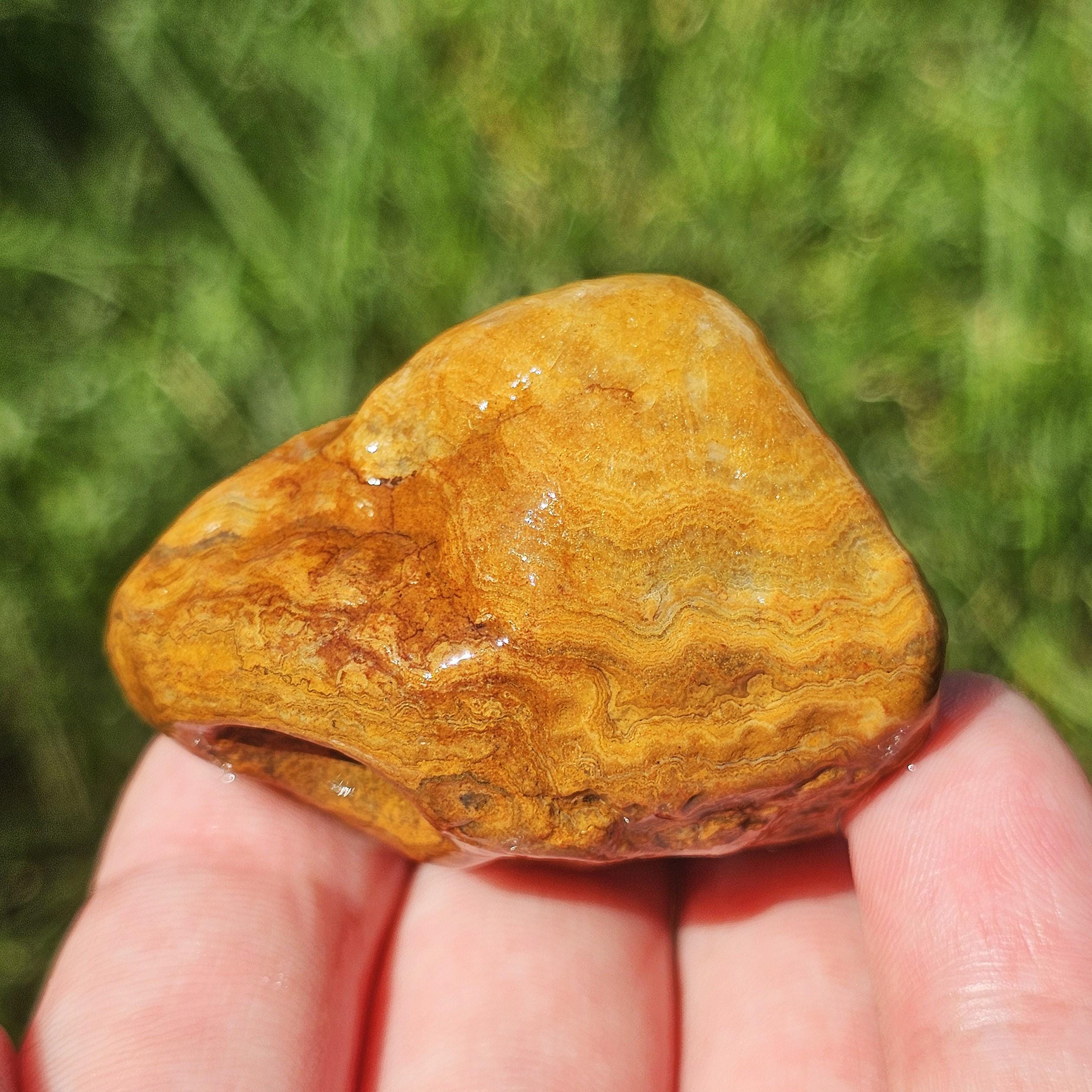 Arkansas Crowley Ridge Agate, Quartz Middle, Stromatolite Fossil