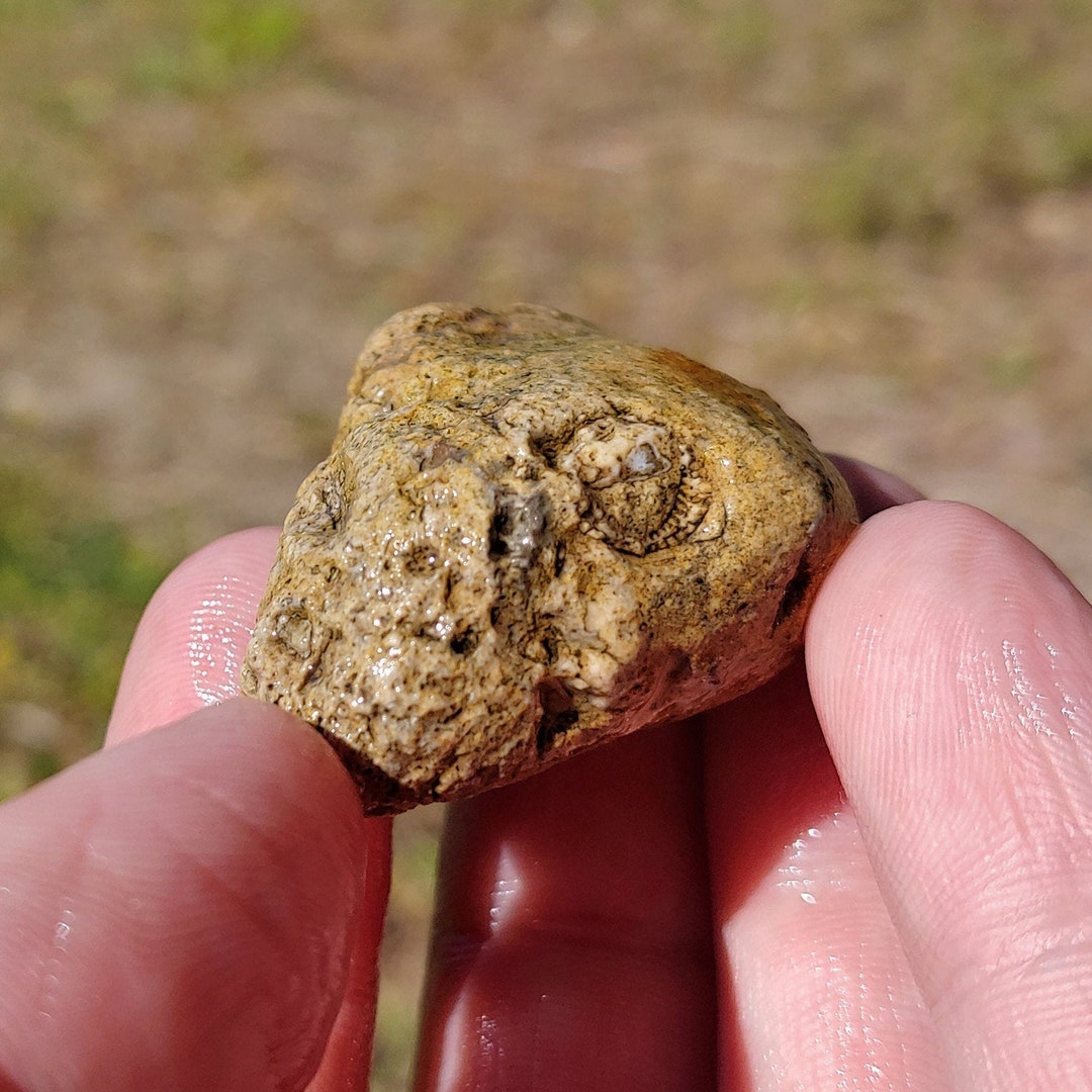 激レア！2011SS STONE  “OLD EFFECT” カーゴ 中古・古着通販】STONE ISLAND (ストーンアイランド) OLD EFFECT