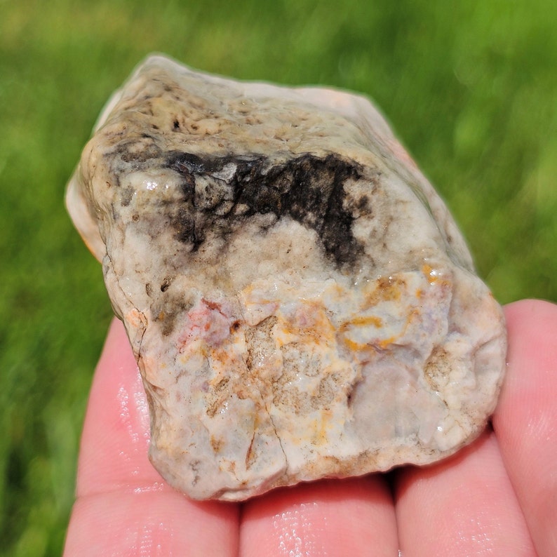 Cilisified Rocks Agatized Fossil Pseudomorph, Silicified Coral or Sponge Fossil ...